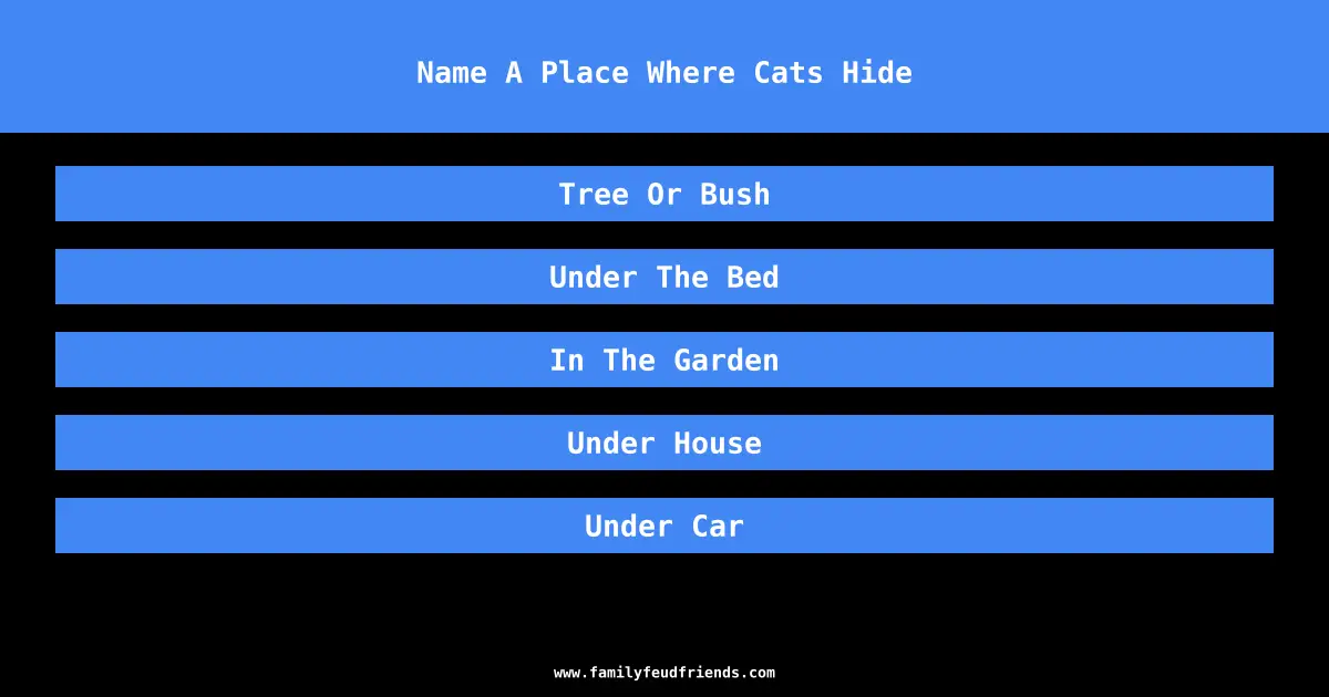 Name A Place Where Cats Hide answer