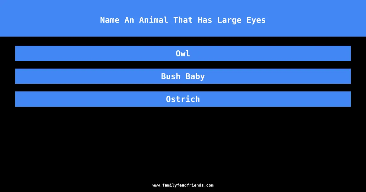 Name An Animal That Has Large Eyes answer