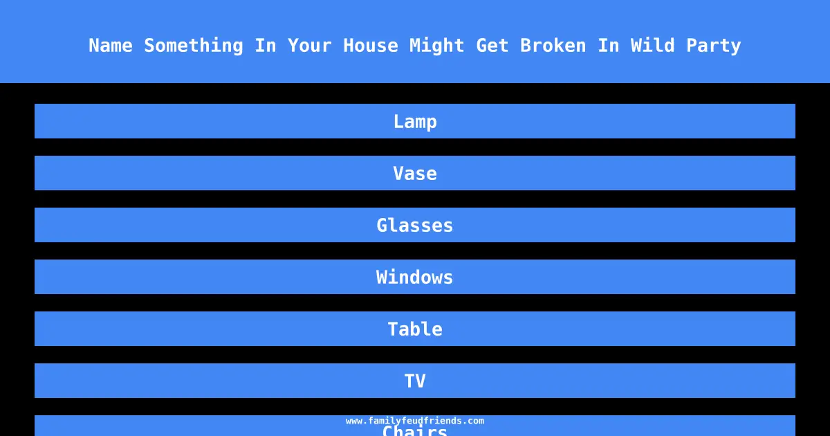 Name Something In Your House Might Get Broken In Wild Party answer