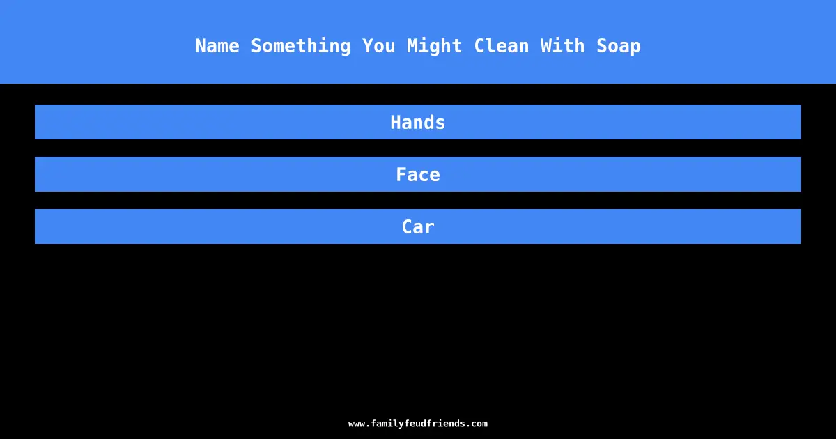 Name Something You Might Clean With Soap answer