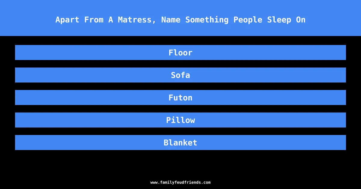 Apart From A Matress, Name Something People Sleep On answer