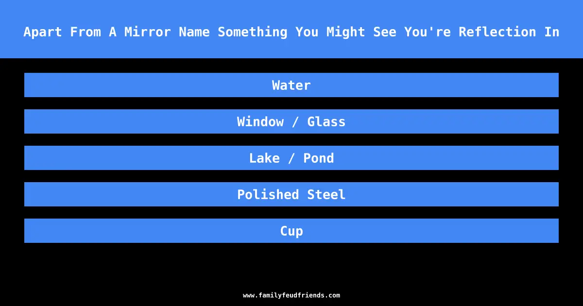 Apart From A Mirror Name Something You Might See You're Reflection In answer