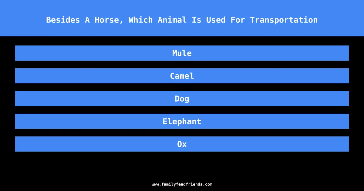 Besides A Horse, Which Animal Is Used For Transportation answer