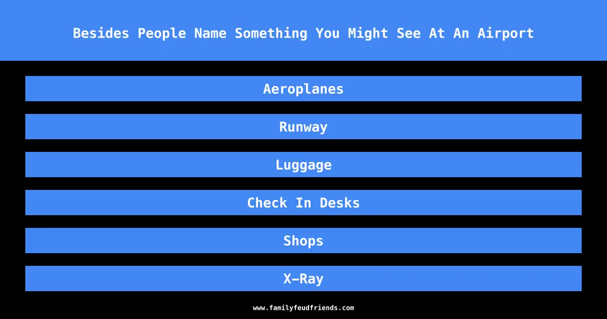 Besides People Name Something You Might See At An Airport answer
