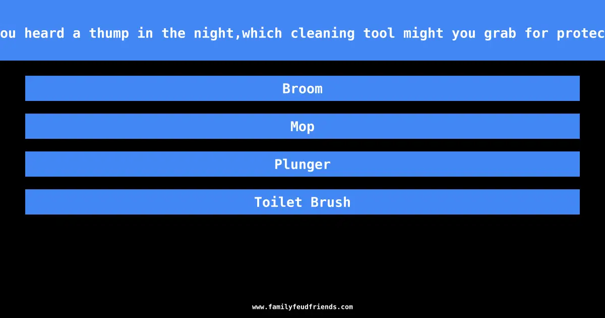 If you heard a thump in the night,which cleaning tool might you grab for protection answer