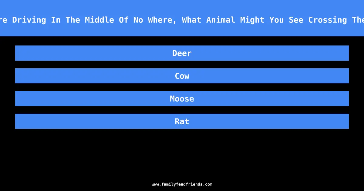 If You’re Driving In The Middle Of No Where, What Animal Might You See Crossing The Street answer