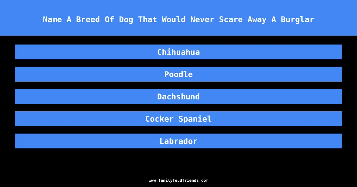 Name A Breed Of Dog That Would Never Scare Away A Burglar answer