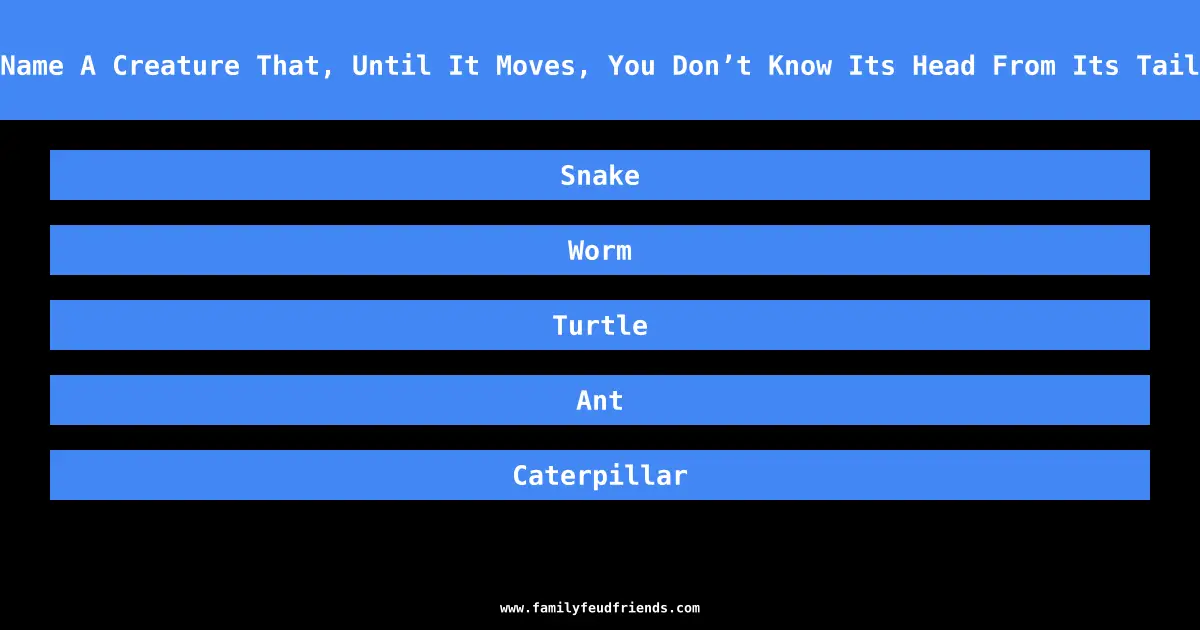 Name A Creature That, Until It Moves, You Don’t Know Its Head From Its Tail answer