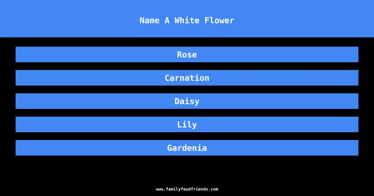 Name A White Flower answer