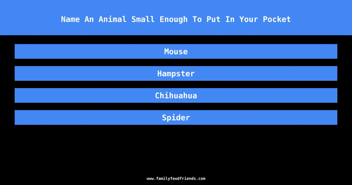 Name An Animal Small Enough To Put In Your Pocket answer