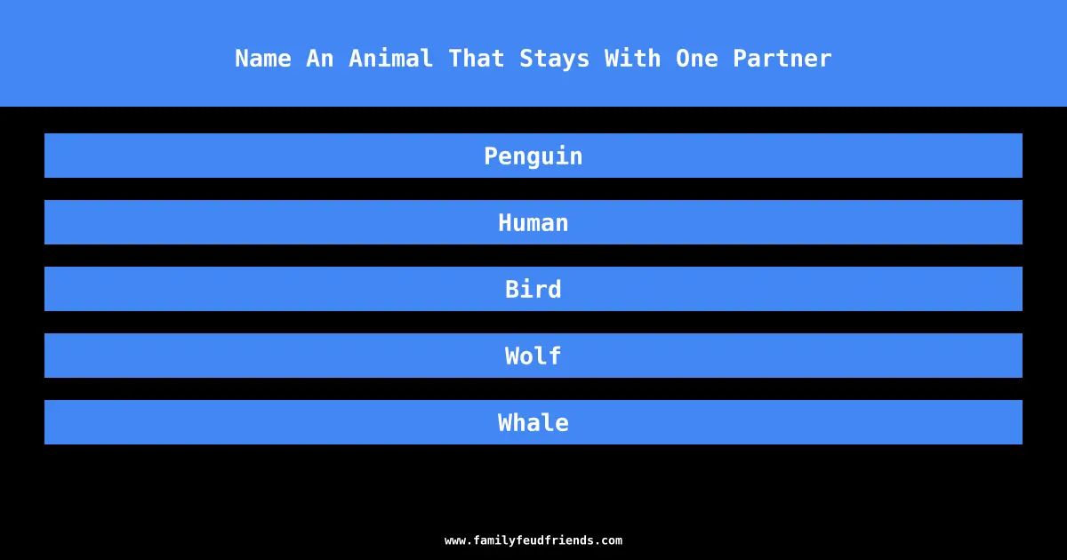 Name An Animal That Stays With One Partner answer