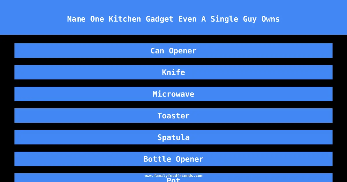 Name One Kitchen Gadget Even A Single Guy Owns answer