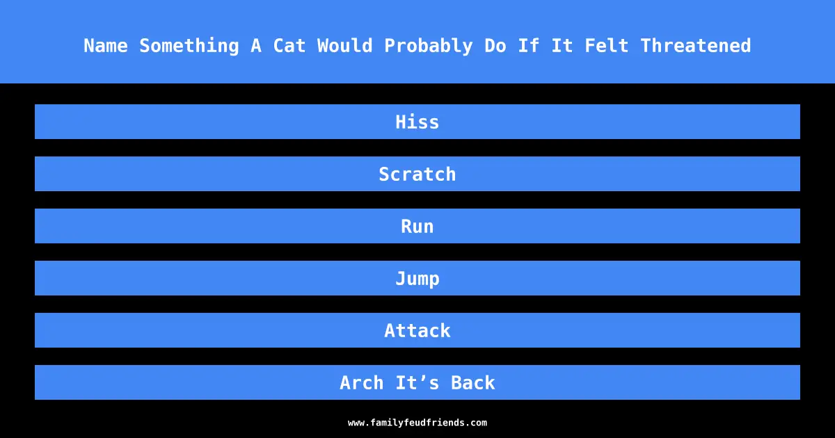 Name Something A Cat Would Probably Do If It Felt Threatened answer