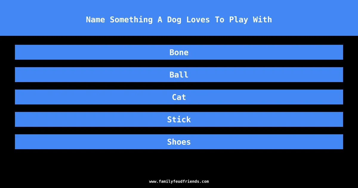 Name Something A Dog Loves To Play With answer
