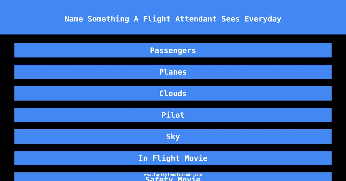 Name Something A Flight Attendant Sees Everyday answer