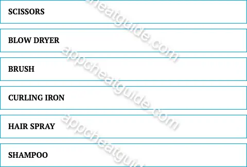 Name something a hairdresser uses. screenshot answer