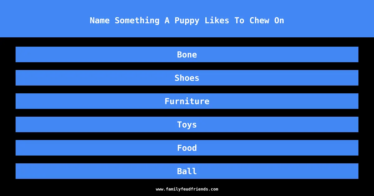 Name Something A Puppy Likes To Chew On answer