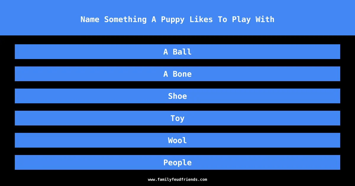 Name Something A Puppy Likes To Play With answer