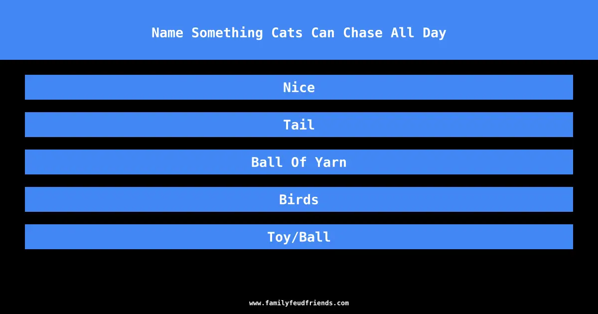 Name Something Cats Can Chase All Day answer
