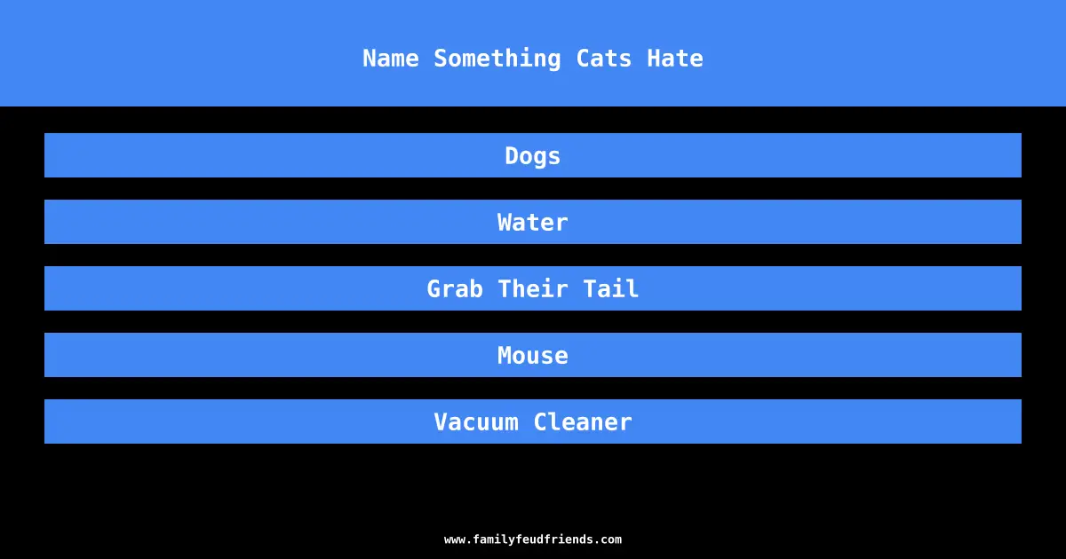 Name Something Cats Hate answer
