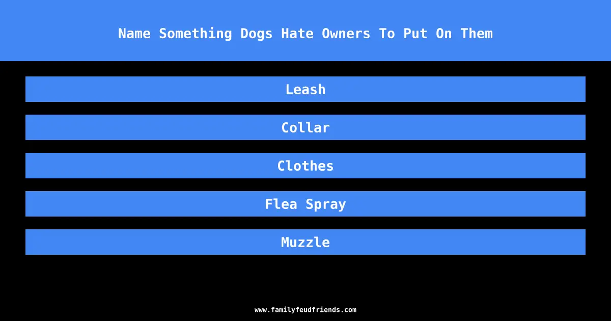 Name Something Dogs Hate Owners To Put On Them answer