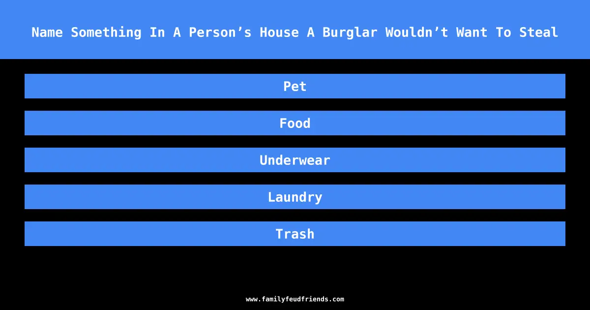Name Something In A Person’s House A Burglar Wouldn’t Want To Steal answer