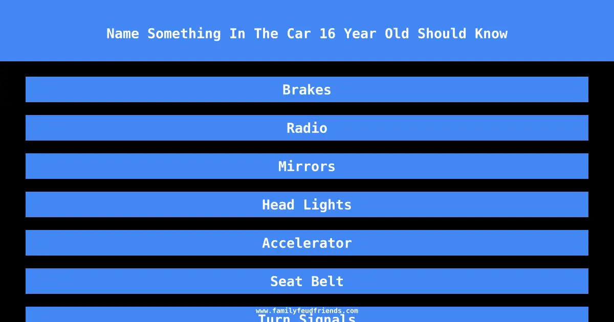 Name Something In The Car 16 Year Old Should Know answer