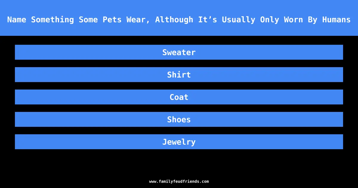 Name Something Some Pets Wear, Although It’s Usually Only Worn By Humans answer
