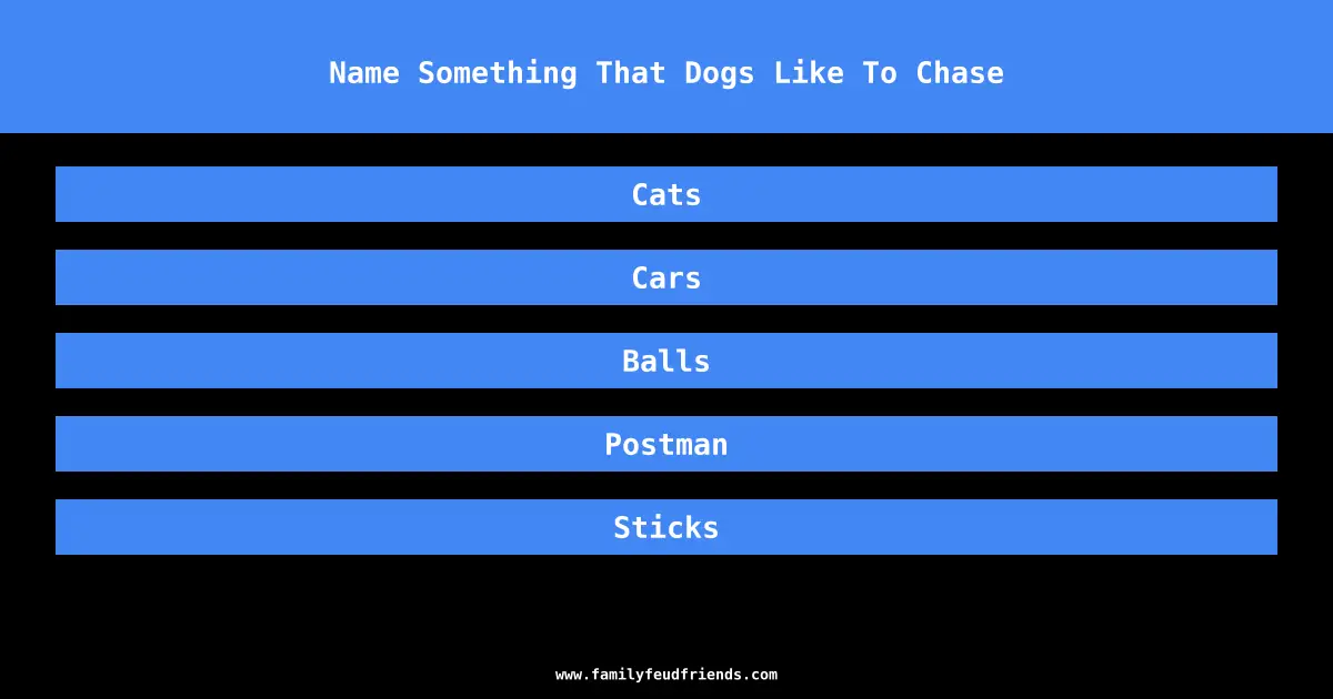 Name Something That Dogs Like To Chase answer