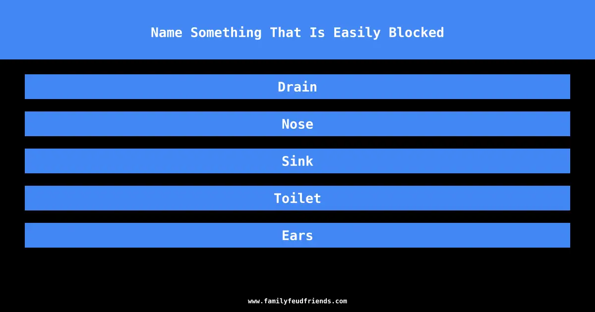 Name Something That Is Easily Blocked answer