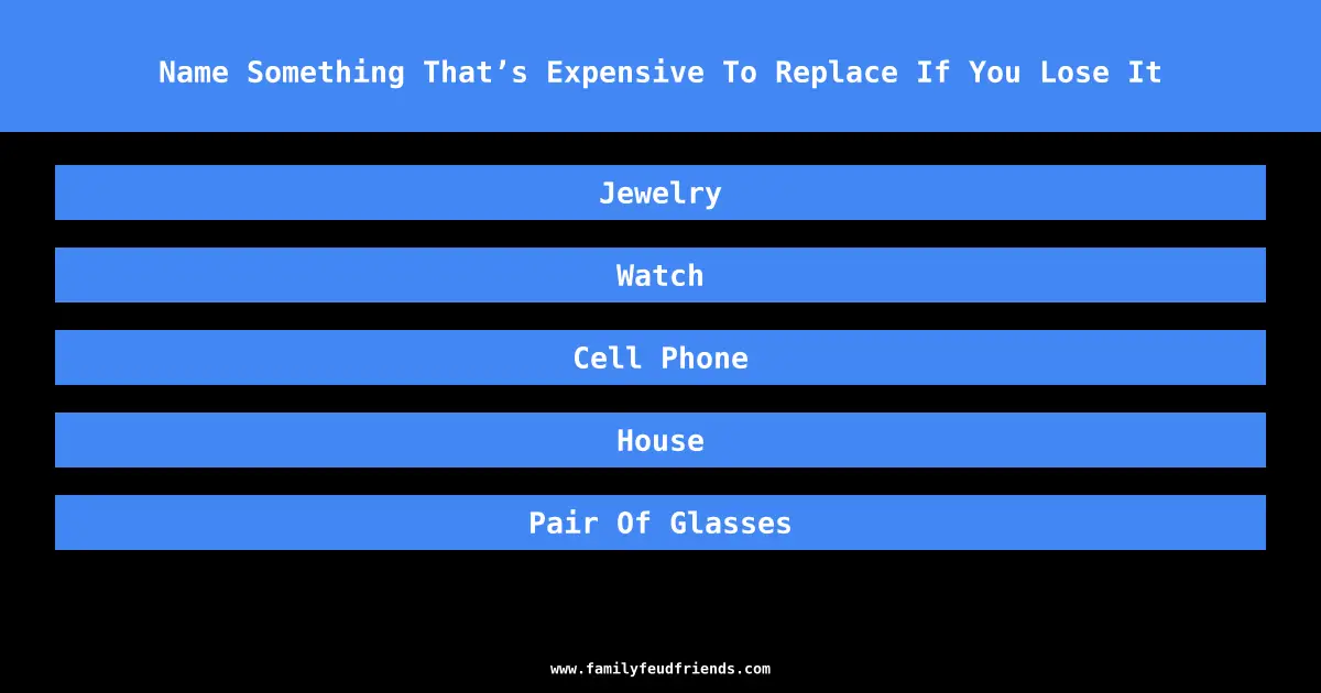 Name Something That’s Expensive To Replace If You Lose It answer