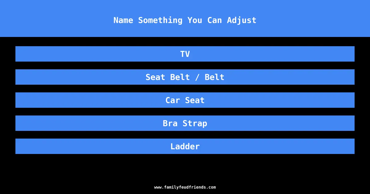 Name Something You Can Adjust answer