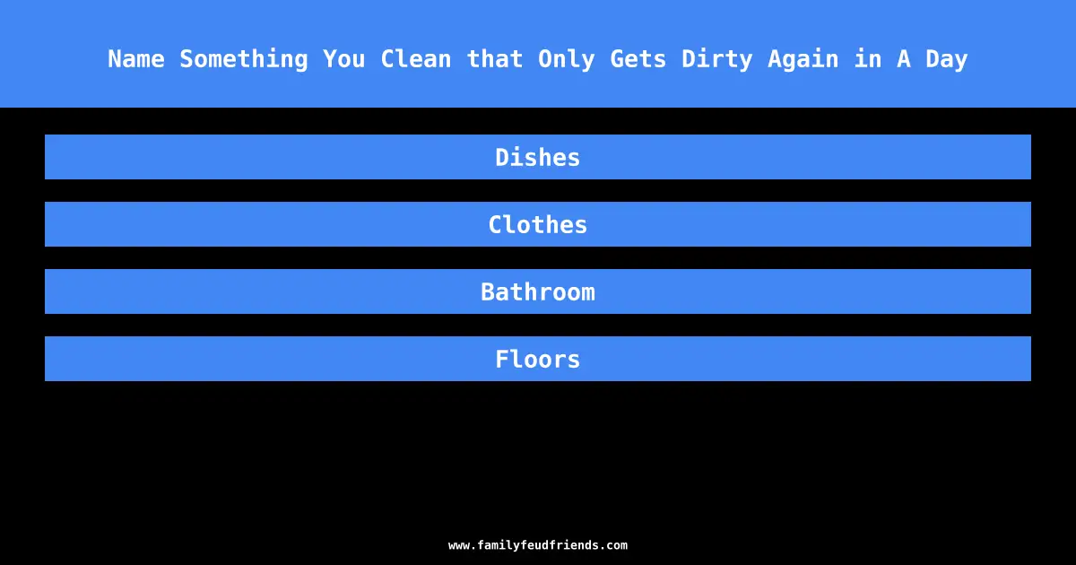 Name Something You Clean that Only Gets Dirty Again in A Day answer