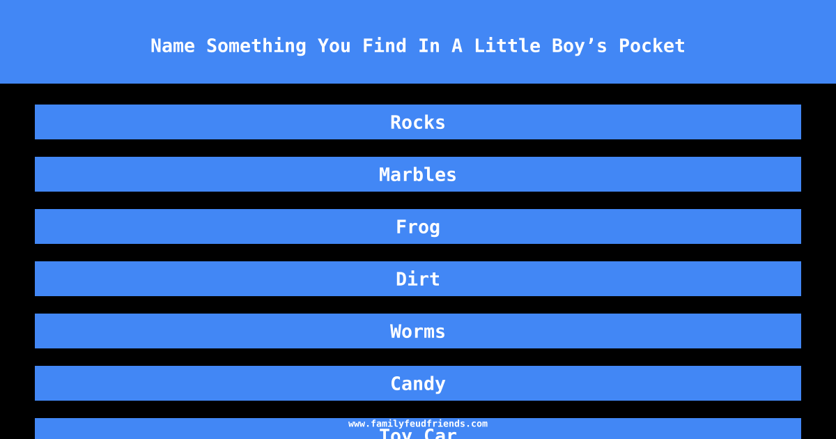 Name Something You Find In A Little Boy’s Pocket answer