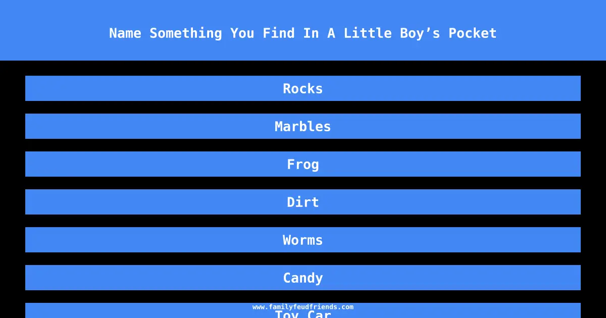 Name Something You Find In A Little Boy’s Pocket answer