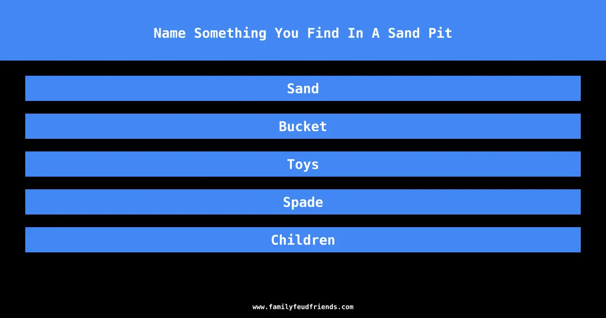 Name Something You Find In A Sand Pit answer