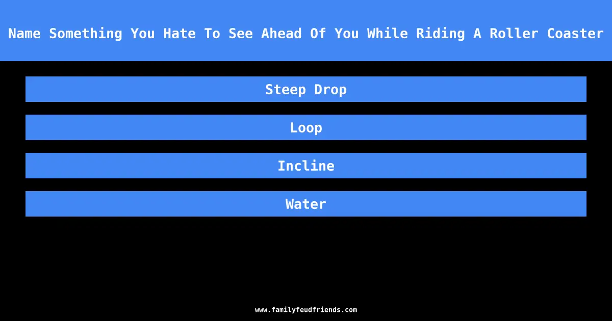 Name Something You Hate To See Ahead Of You While Riding A Roller Coaster answer