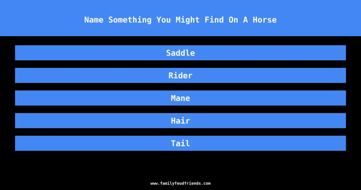 Name Something You Might Find On A Horse answer