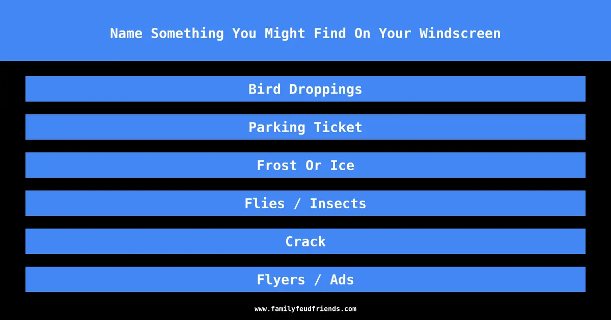 Name Something You Might Find On Your Windscreen answer
