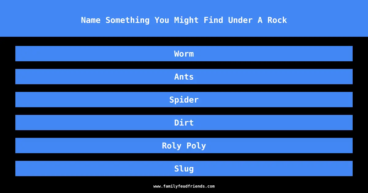 Name Something You Might Find Under A Rock answer
