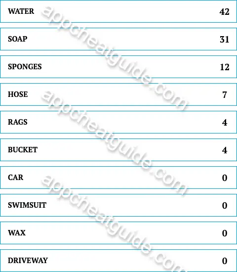 Name something you need to wash a car. screenshot answer