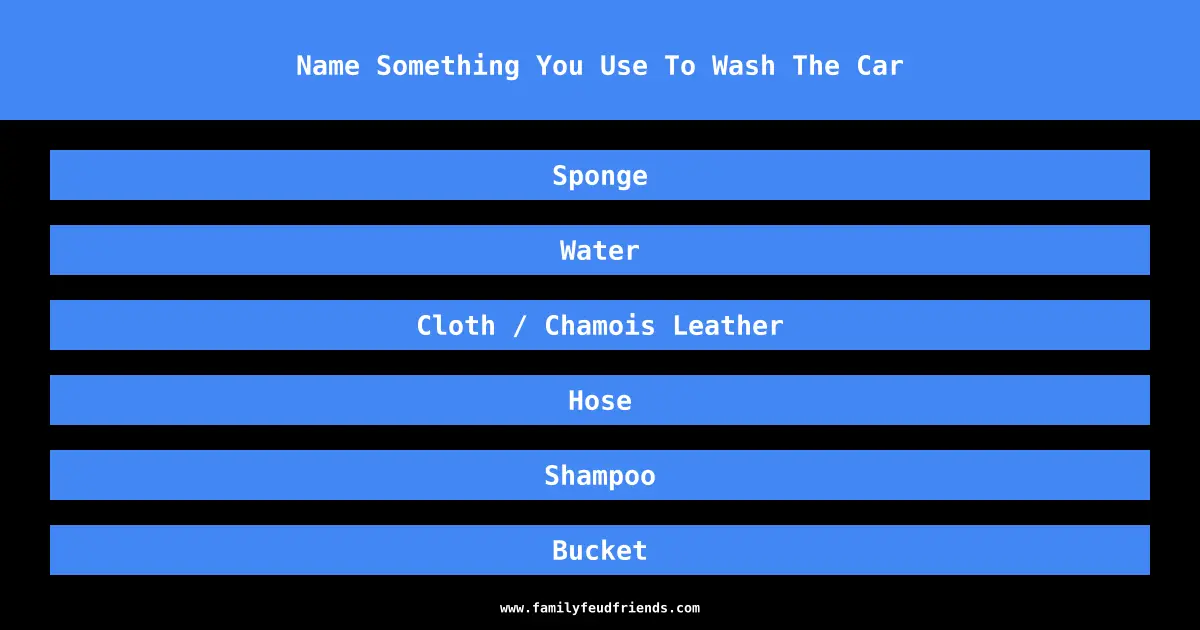 Name Something You Use To Wash The Car answer