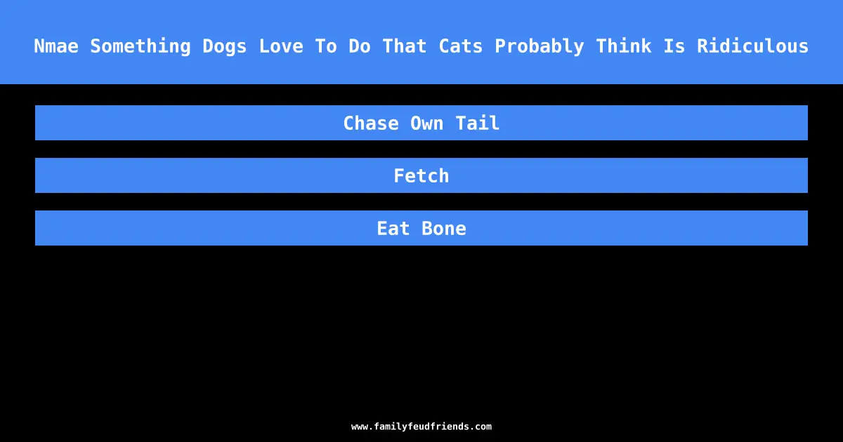 Nmae Something Dogs Love To Do That Cats Probably Think Is Ridiculous answer