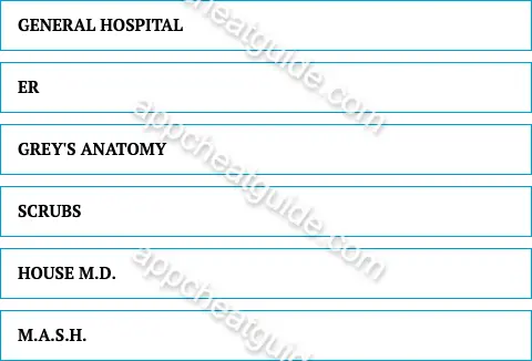 Past or present, name a tv show set in a hospital. screenshot answer