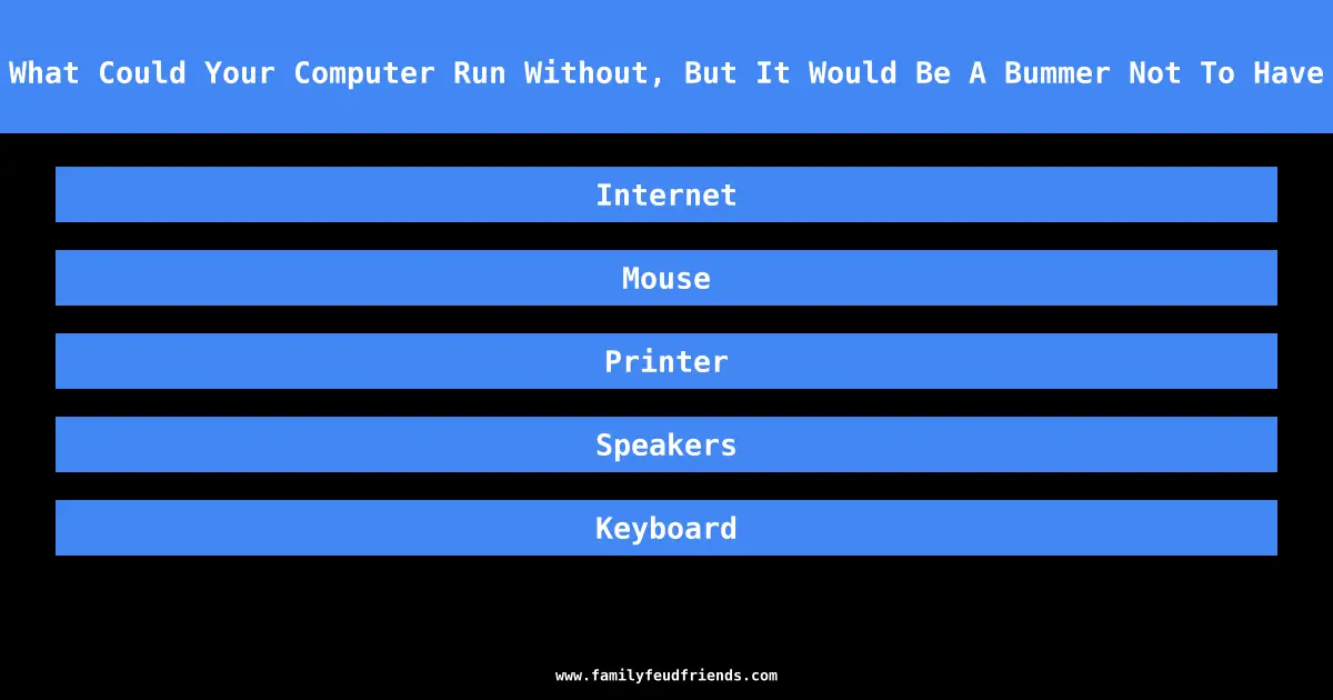 What Could Your Computer Run Without, But It Would Be A Bummer Not To Have answer